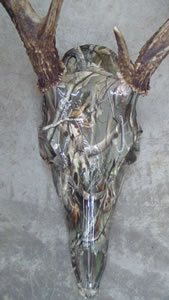Proveil Reaper Buck Pattern 521