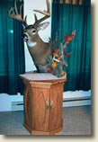 Pedestals and cabinets