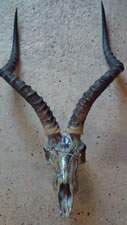 Example of camoflage work by Brian Pragle