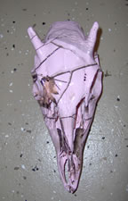 Example of camoflage work by Brian Pragle