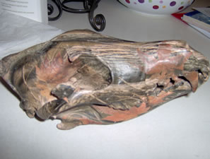 Example of camoflage work by Brian Pragle