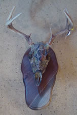 Example of camoflage work by Brian Pragle