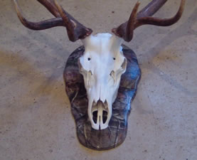Example of camoflage work by Brian Pragle