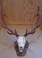 Example of camoflage work by Brian Pragle