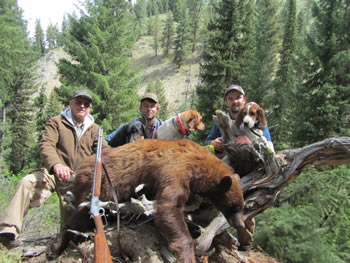 Ed Reich's Black Bear