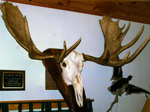 Skul Mounts and Plaques - Custom work by Brian Pragle