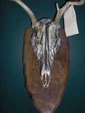 Skul Mounts and Plaques - Custom work by Brian Pragle