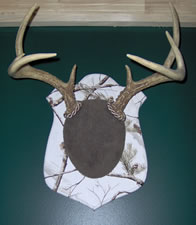Skul Mounts and Plaques - Custom work by Brian Pragle