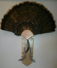 Skul Mounts and Plaques - Custom work by Brian Pragle