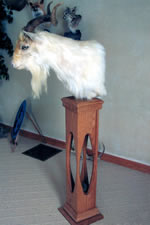 Oak, cherry or walnut pedestals and cabinets custom made to your specifications