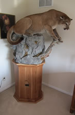 Oak, cherry or walnut pedestals and cabinets custom made to your specifications