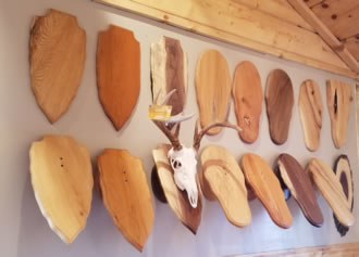 Skul Mounts and Plaques - Custom work by Brian Pragle