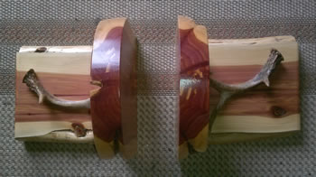 Rustic Cedar Bookends